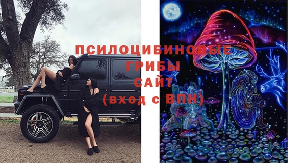jwh Горняк