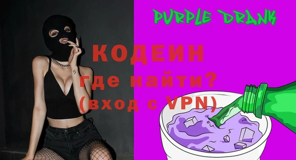 spice Гусев