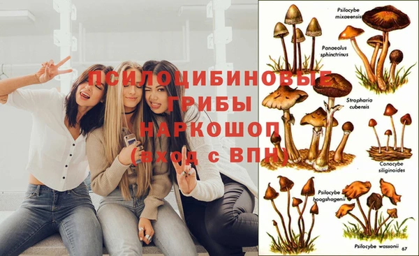 кокаин колумбия Гусиноозёрск