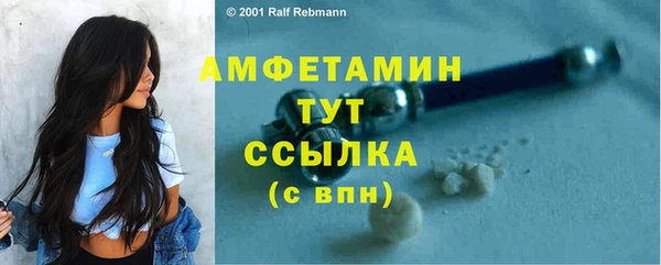 мдпв Горнозаводск