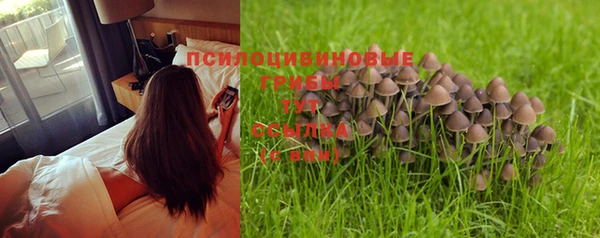 герыч Вязники
