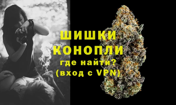 мдпв Горнозаводск